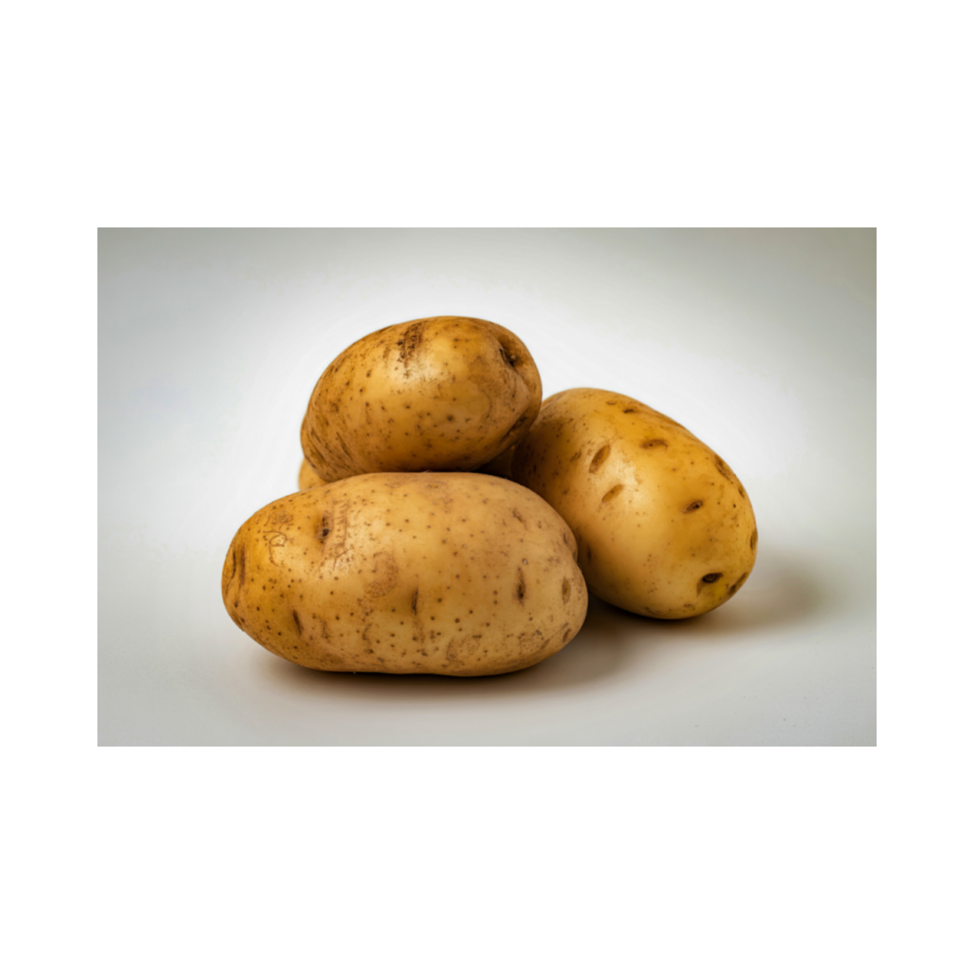 Russet Potatoes