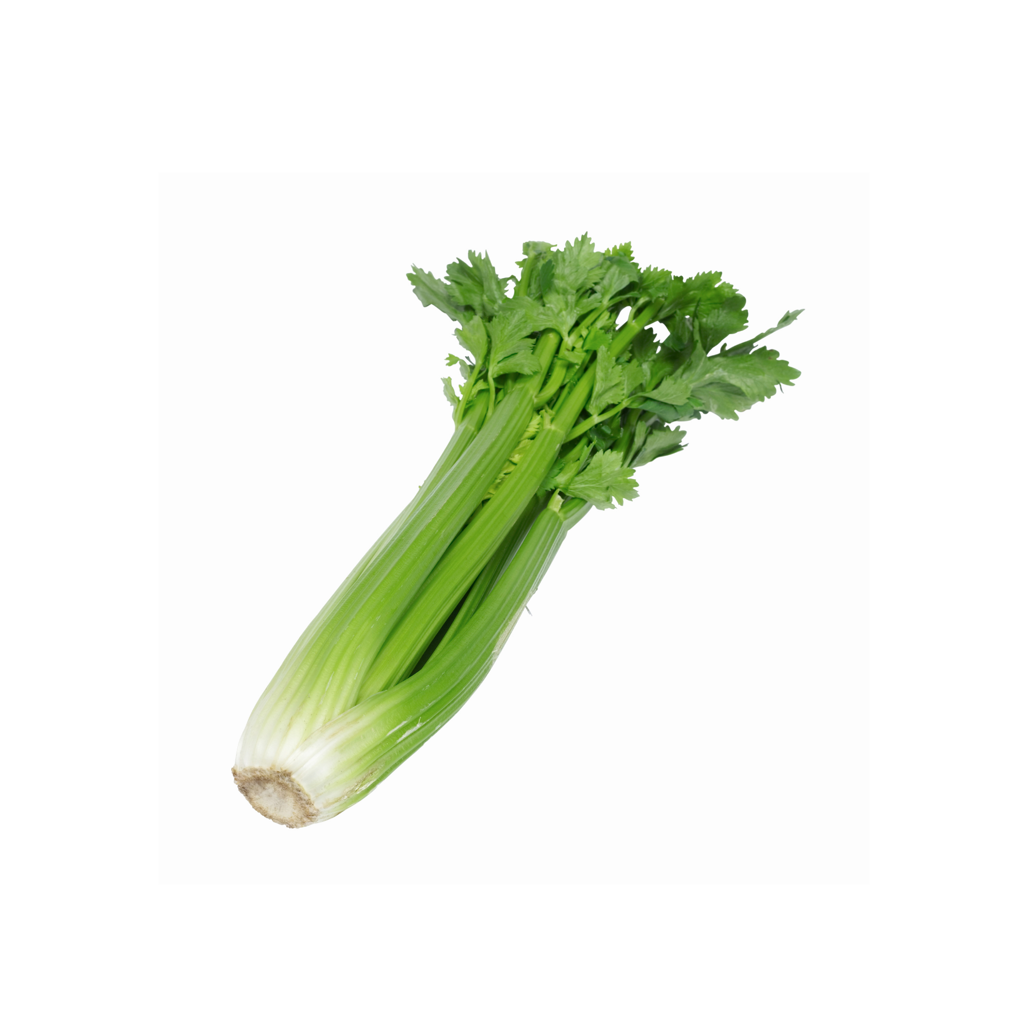 Sleeved Celery