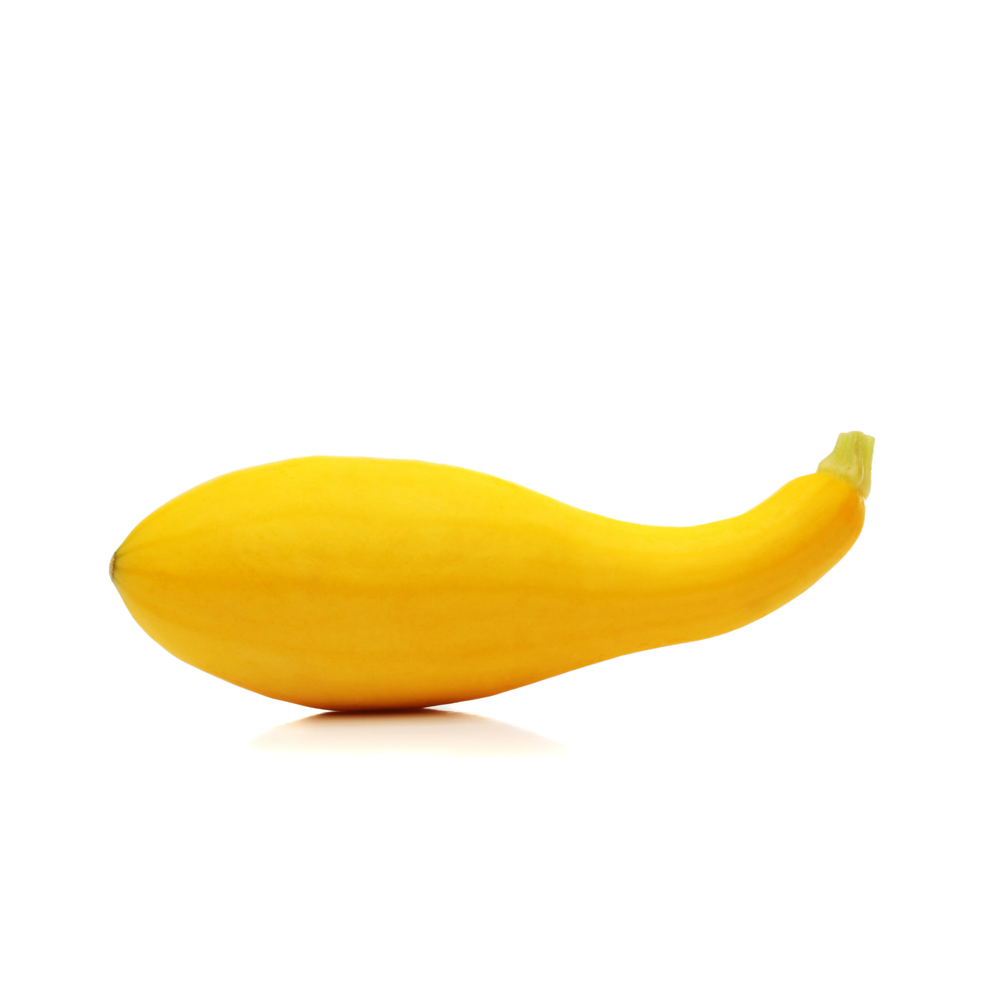 Yellow Squash