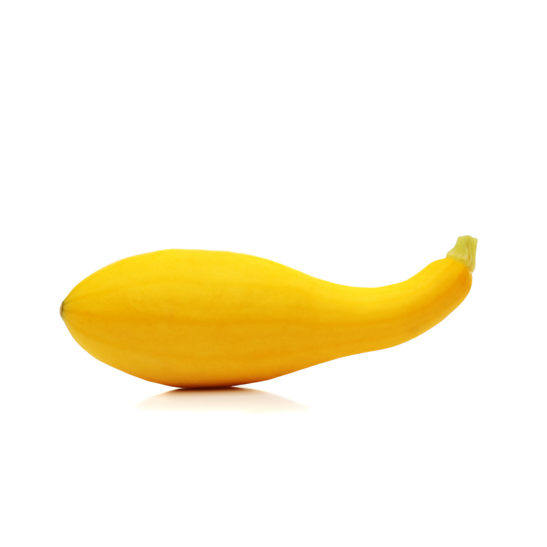 Yellow Squash