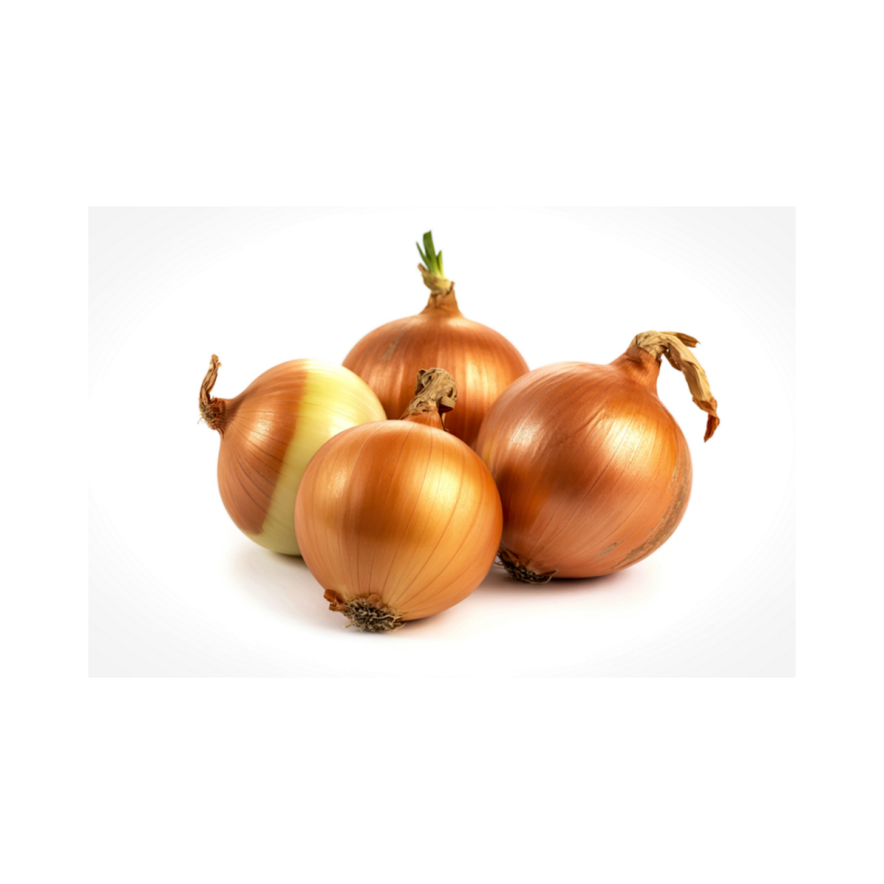 Yellow Onion
