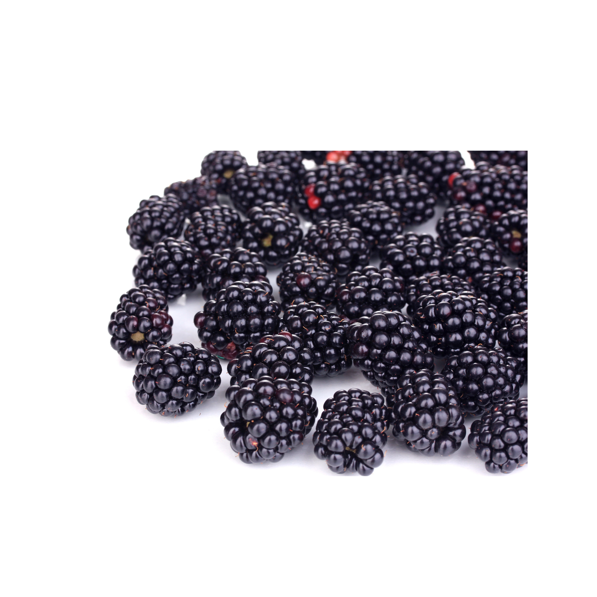 Black Berries